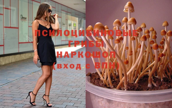 ECSTASY Куйбышев